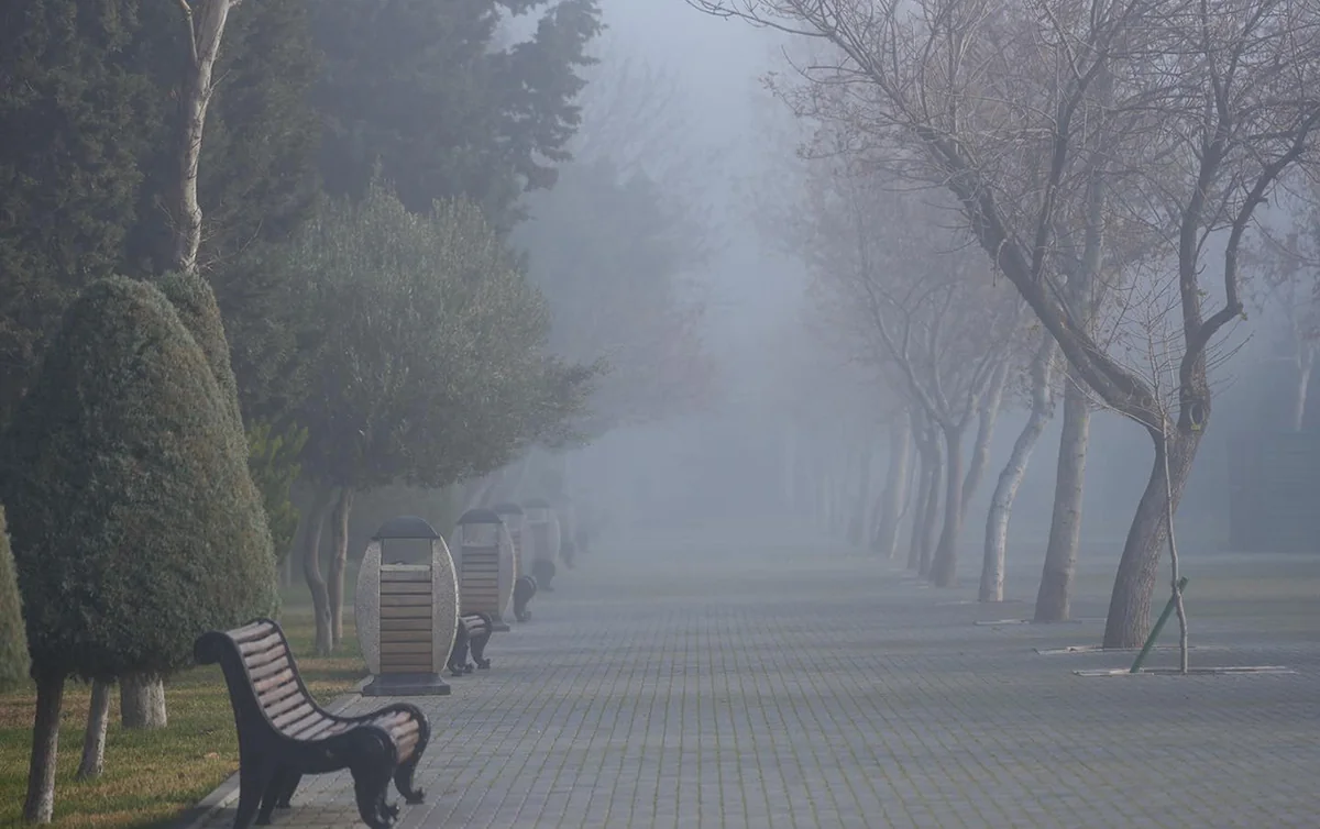 sP8IB0T3zAkfiaCWBxNh5yOoCYnBNoSxRqYjRQAZ_1200