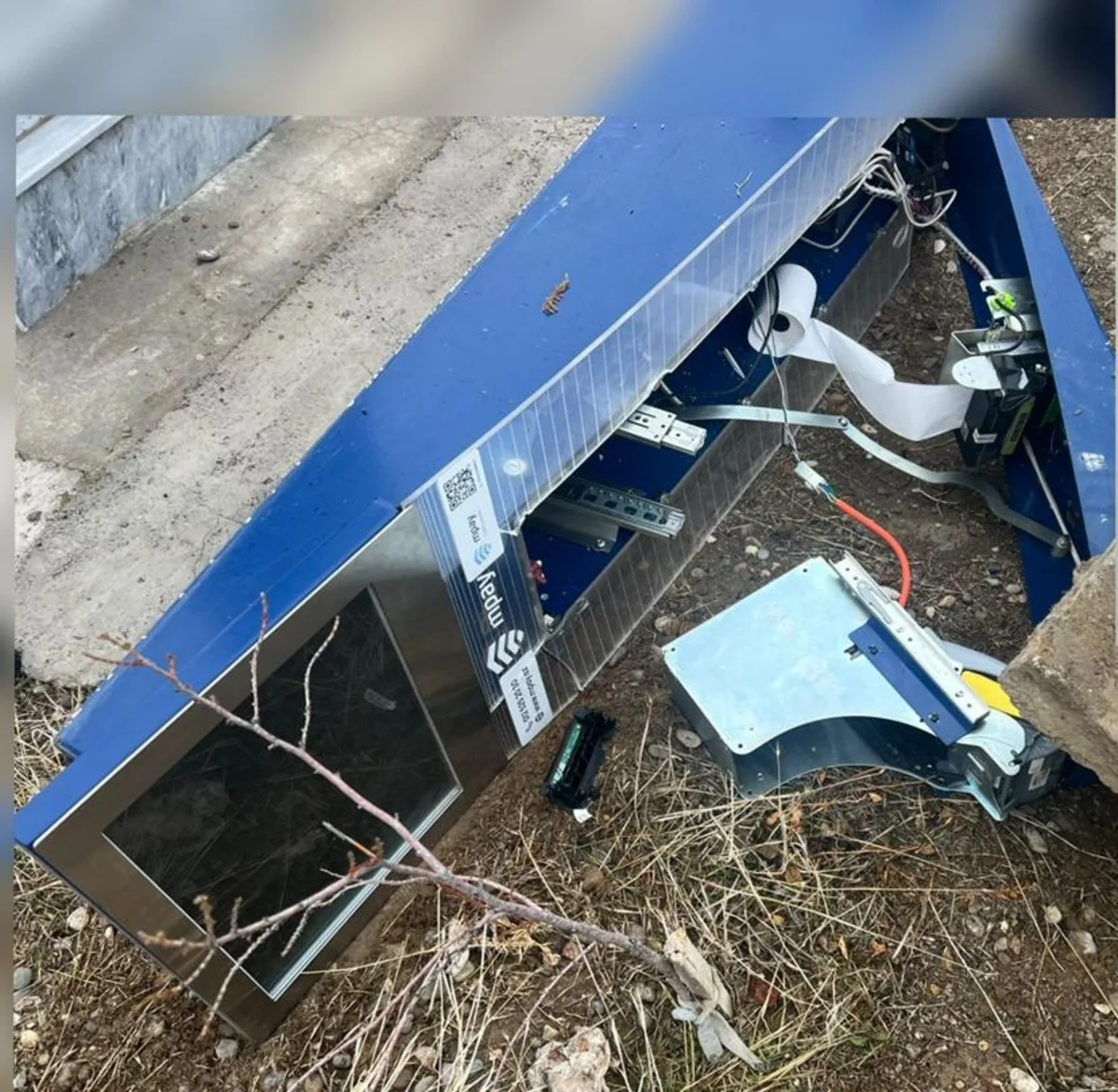 xOmzLsJJQWCqYBz1gHsPUxwyZuQz3stEvhuvxKi7_1200