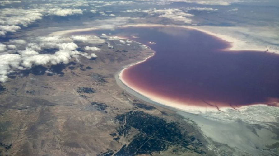 Снимок экрана 2026-02-21 190819