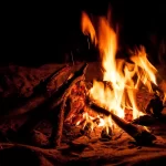 01629a53-d748-48e0-a730-276888fea53b_1200