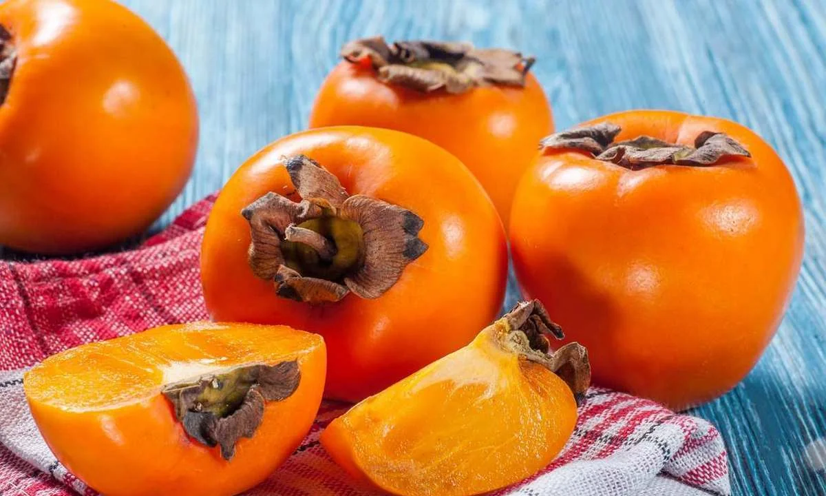 08f1dec0-59fa-32f4-bfe3-94afb0c3039c_1200