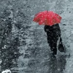 118dbef8-ee46-4933-a36d-7b9356b574fc_1200