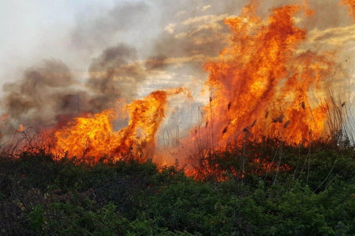 1771521449_yuvwy2q0vyr7wmmu0buuumo7pwjkijeimwmzjtgh