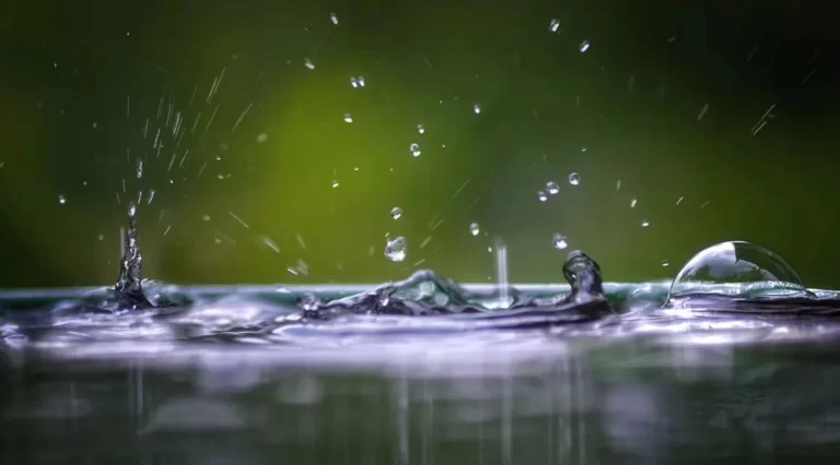 377fb741-90d7-496e-8d7e-a8cdabae2971_1200