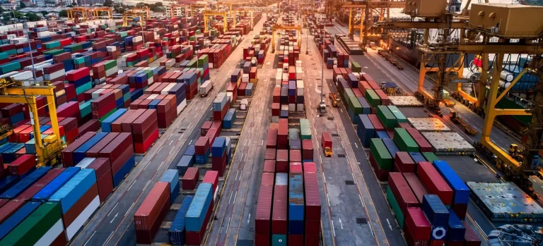 4121c3e9-7e6c-3a16-bf1e-57b033853401_1200