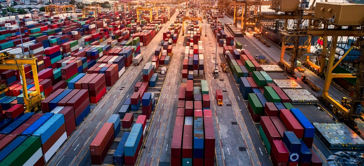 4121c3e9-7e6c-3a16-bf1e-57b033853401_1200