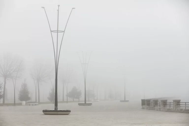 5479b6e0-8c39-38fb-92f3-0429a4552f3f_1200