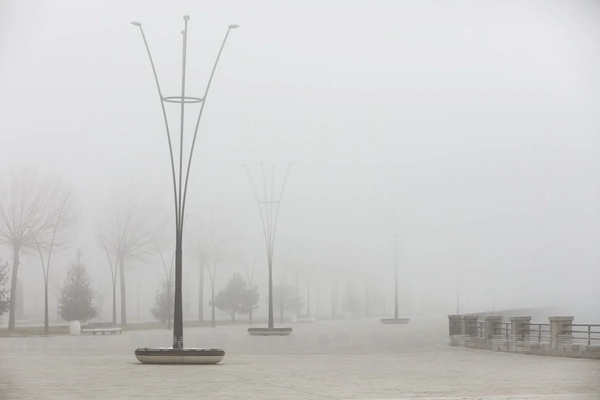 5479b6e0-8c39-38fb-92f3-0429a4552f3f_1200