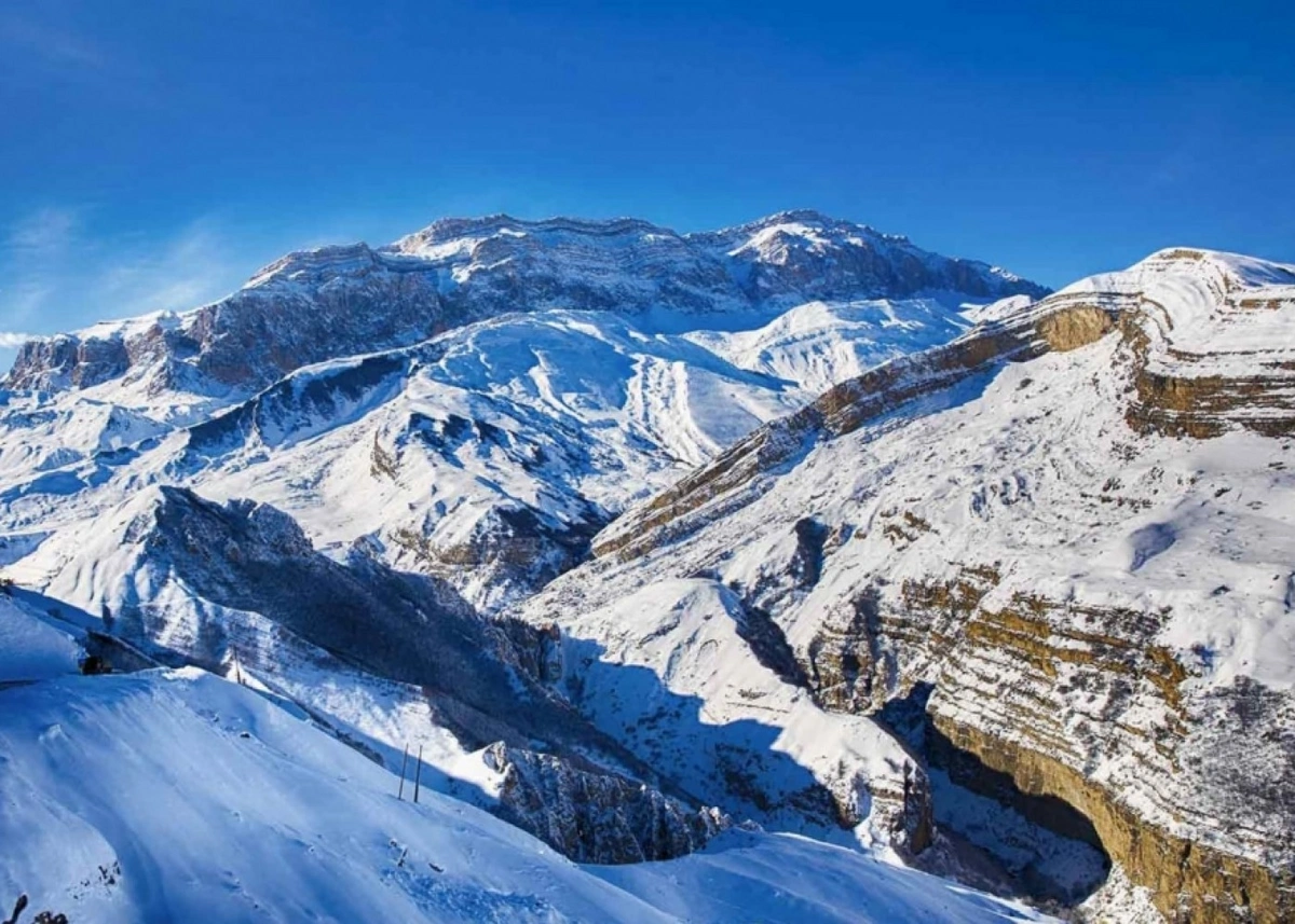 55bac692-12dc-32f6-8b7c-4e8ae2559874_1200