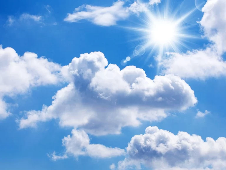 5eaac944-cf02-3a40-867b-22dd975ed8cc_1200 (1)