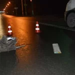 66b0b191-8240-3fce-931f-96e397455b8c_1200