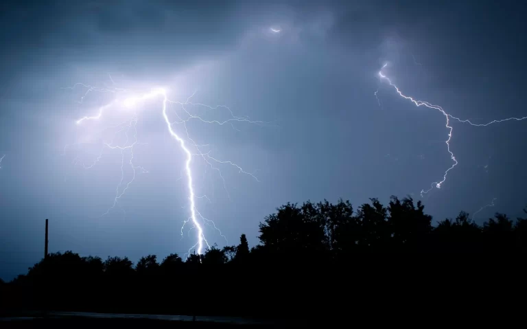 69b41d80-454b-331a-a65b-773f59524fdc_1200