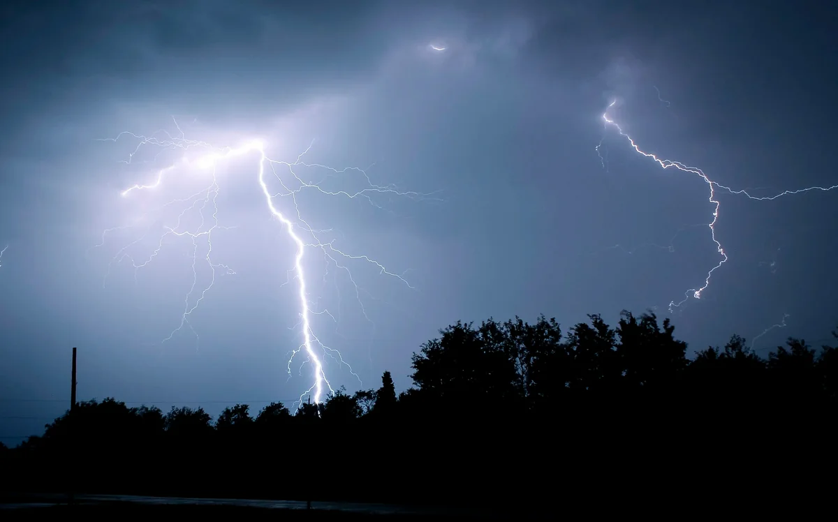 69b41d80-454b-331a-a65b-773f59524fdc_1200