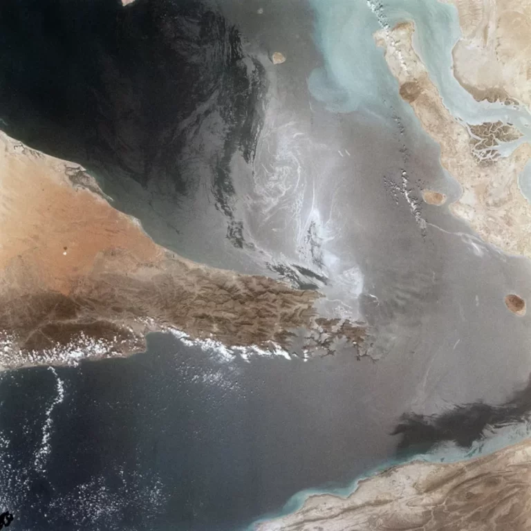 6g1c1w0zu9QaxjGjfOZP6lQXi0E3052SAsPpDk1C_1200