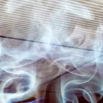 70c79fba-ca9f-3426-8f5c-b15958225f34_1200