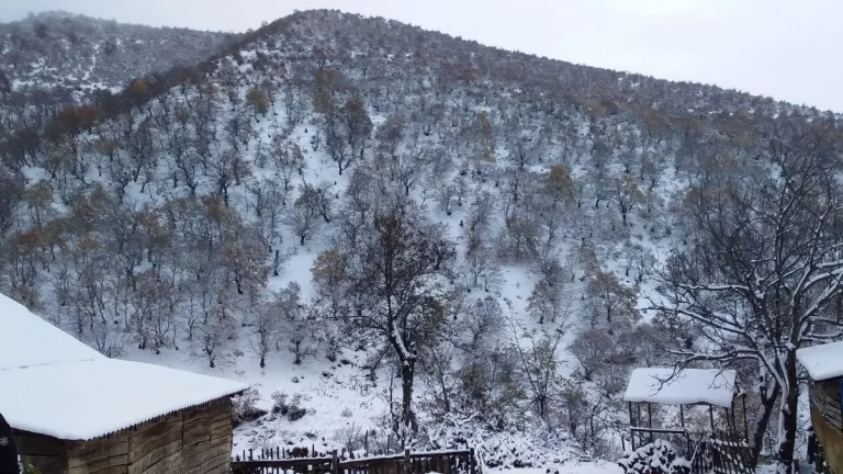 7920c1ef-e705-3e45-8447-90c39d40a67d_1200