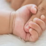 7d3ef37c-f73a-33f4-8112-11b3714175fe_1200