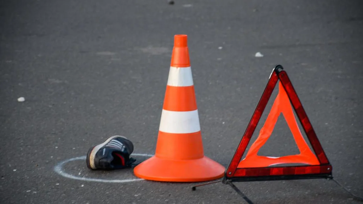 84d1303f-414f-3630-9892-12393bba70ff_1200