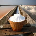 94393917-2d2e-3b65-9dff-409a71a50359_1200