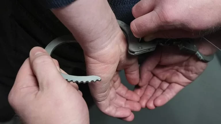 95fa9f2c-4c21-38d0-ac74-acf288db3177_1200