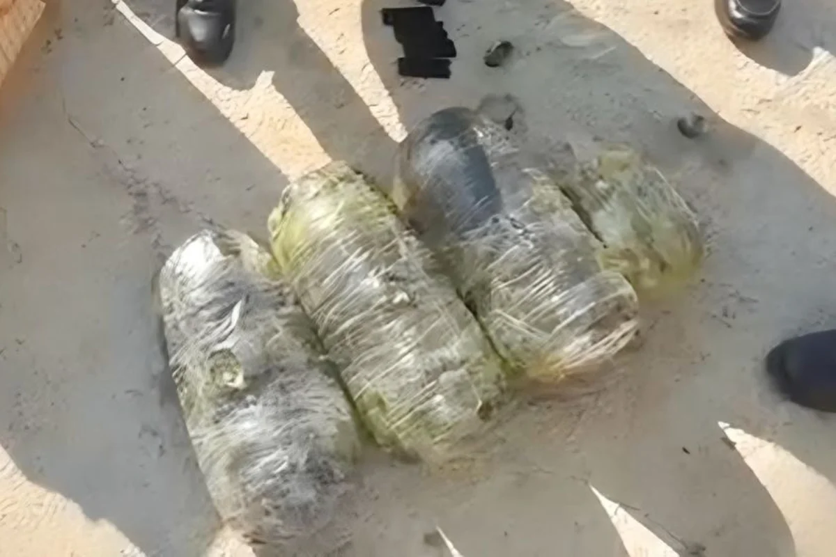 9KVNy7csWAMq5SKgzgahhnBcqBte4arHdJFOc1x6_1200