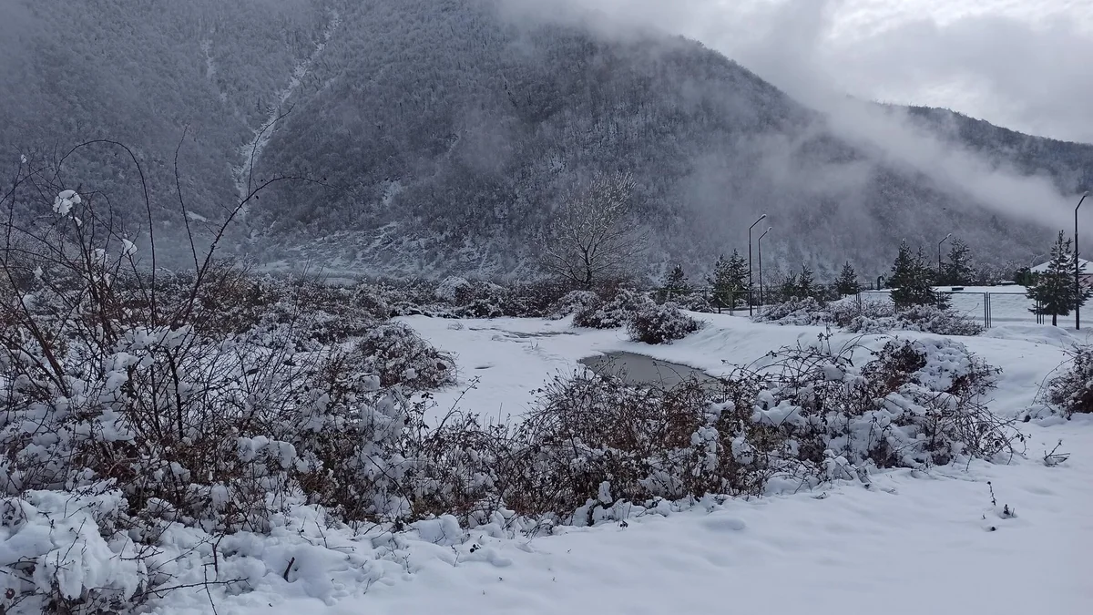 AICYe3DNEJywLUr6r5xBn7OgbpklbLW83XTOEhjO_1200