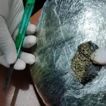 FULaUV0QgTiIKIo2NVILN7fWxWToH5E036DaLPdV_1200