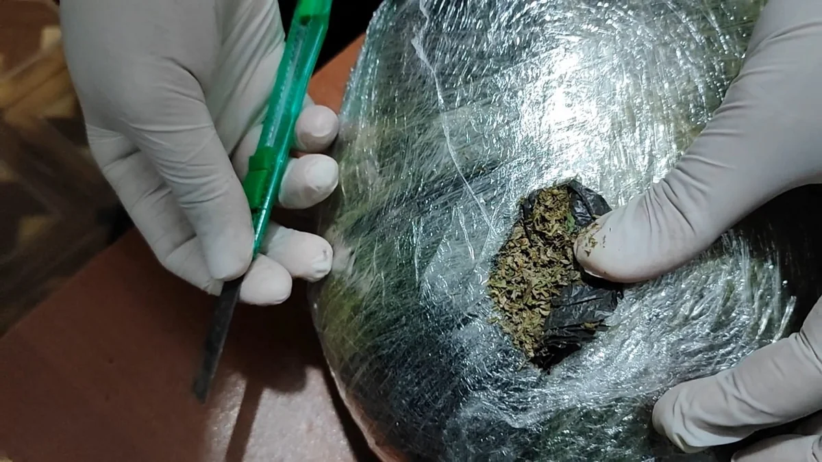 FULaUV0QgTiIKIo2NVILN7fWxWToH5E036DaLPdV_1200