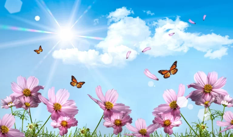 MLwJoiblvxmo8sC3oulenb2gsCKYNT8fDjSLYKyp_1200