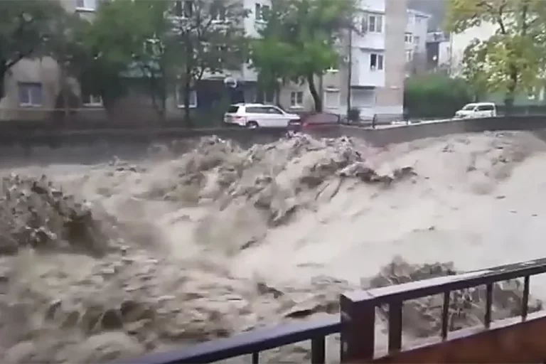 RHA6RP1JGcnuEtlzFfy62yX0Wyezgk502aGJJwCN_1200