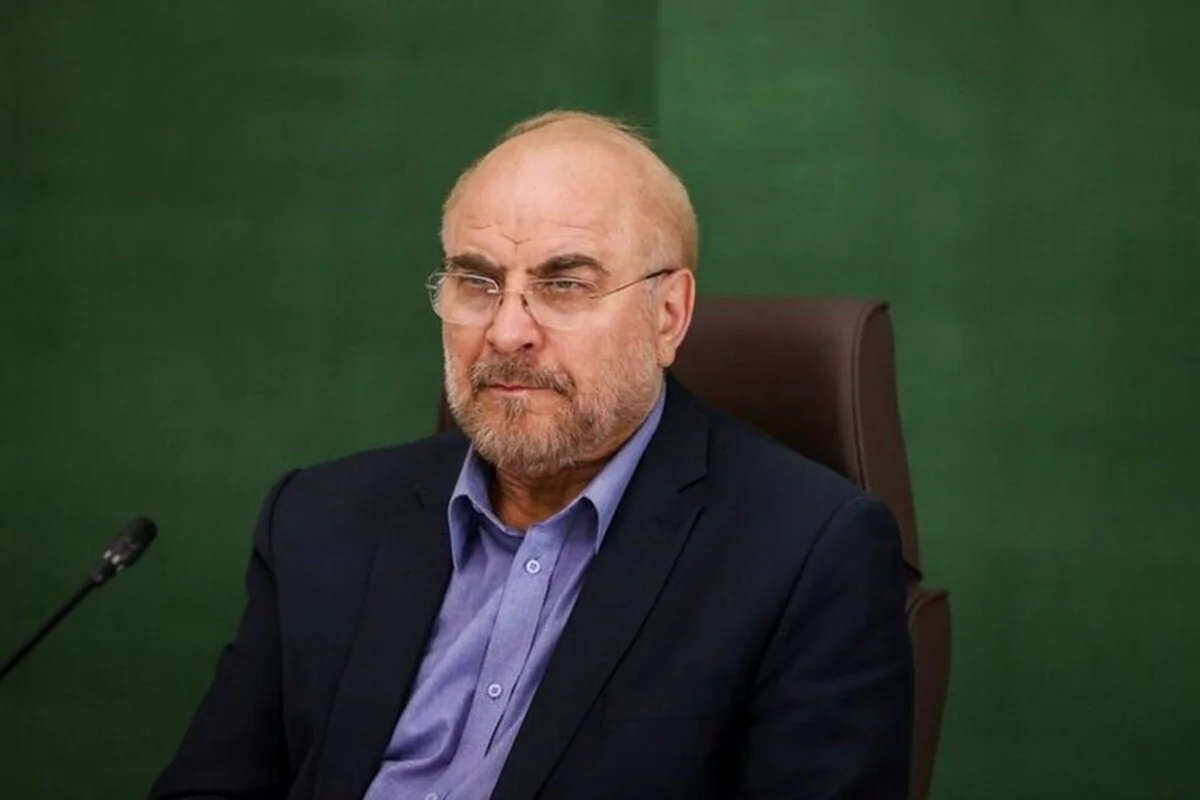 RMyYDhQ1RNi9x5eq7nVeMXwnztczVWjzMMfQmGZH_1200