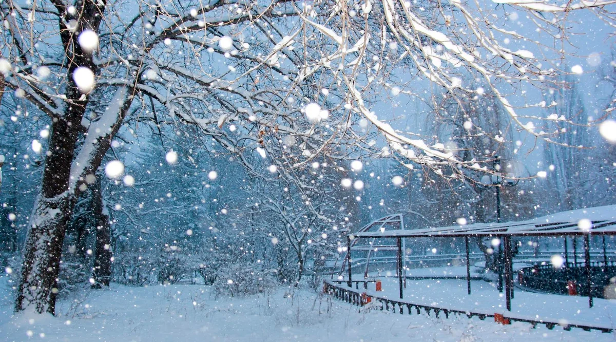 W43aITeBam6mBHtaZaJ5sKDSRLEMNTp8XgqO94JT_1200