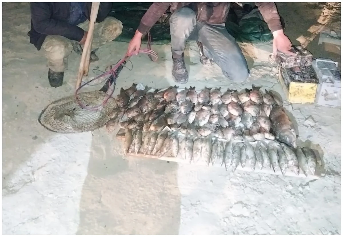 W5JngBjYYh0Bw8ZYgZvbRS0YazR5MdFrPNd7NY41_1200