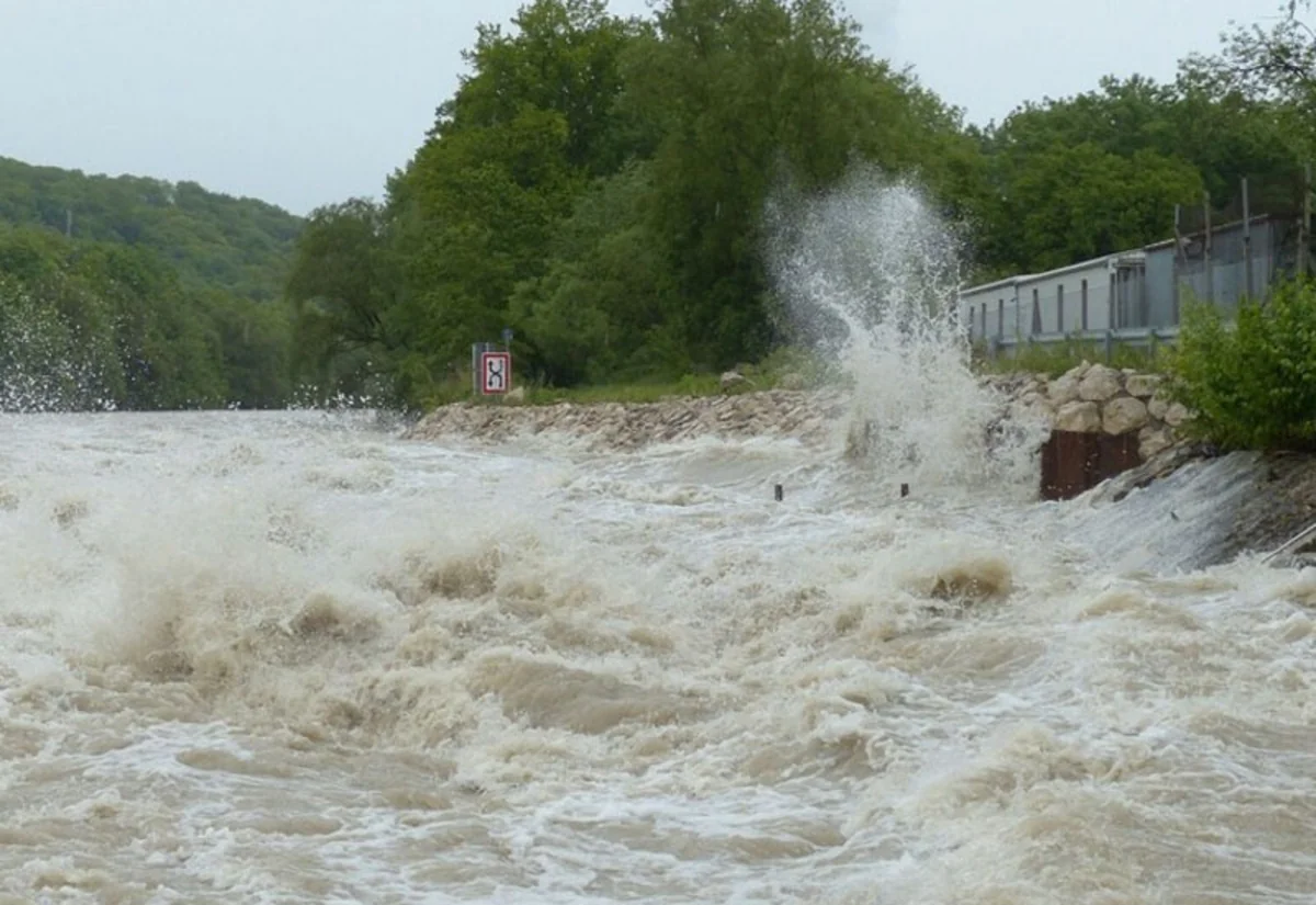 ae9b71b4-28de-3bda-a47d-74878f14902c_1200