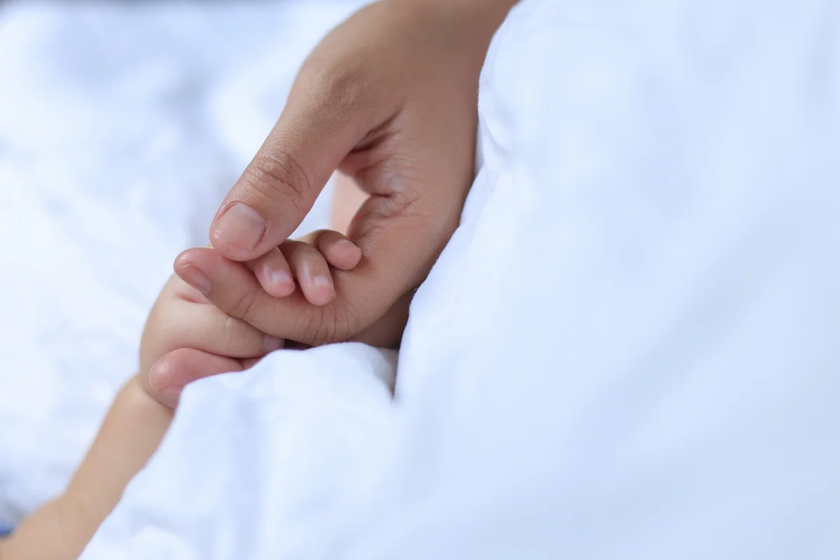 b2adfad2-f1a2-343b-b3c7-9b0c9fea62bb_1200