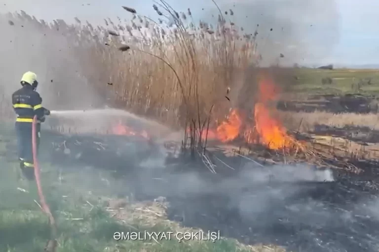 bgbXr0hBadz5fnoGS5FVNvyQL2wawqcZuQohfqWh_1200