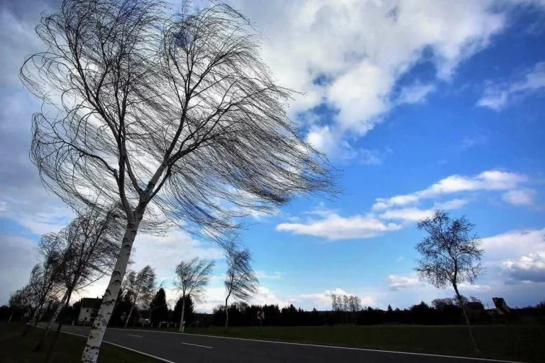 c308440a-1f65-3fec-a161-45d0f695b8ad_1200