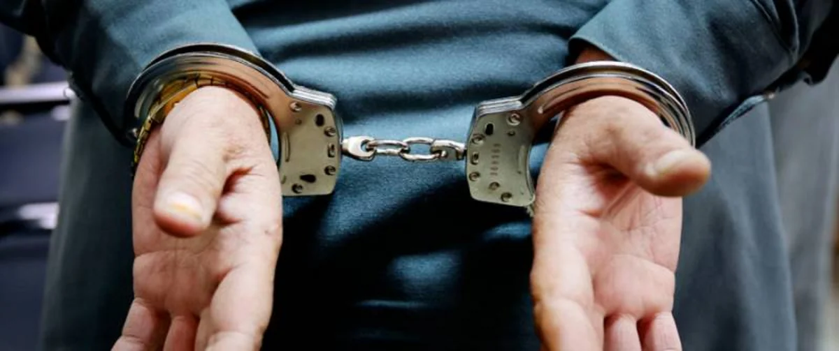 c4d3daec-b92a-41f6-b819-94ddb7141d3b_1200