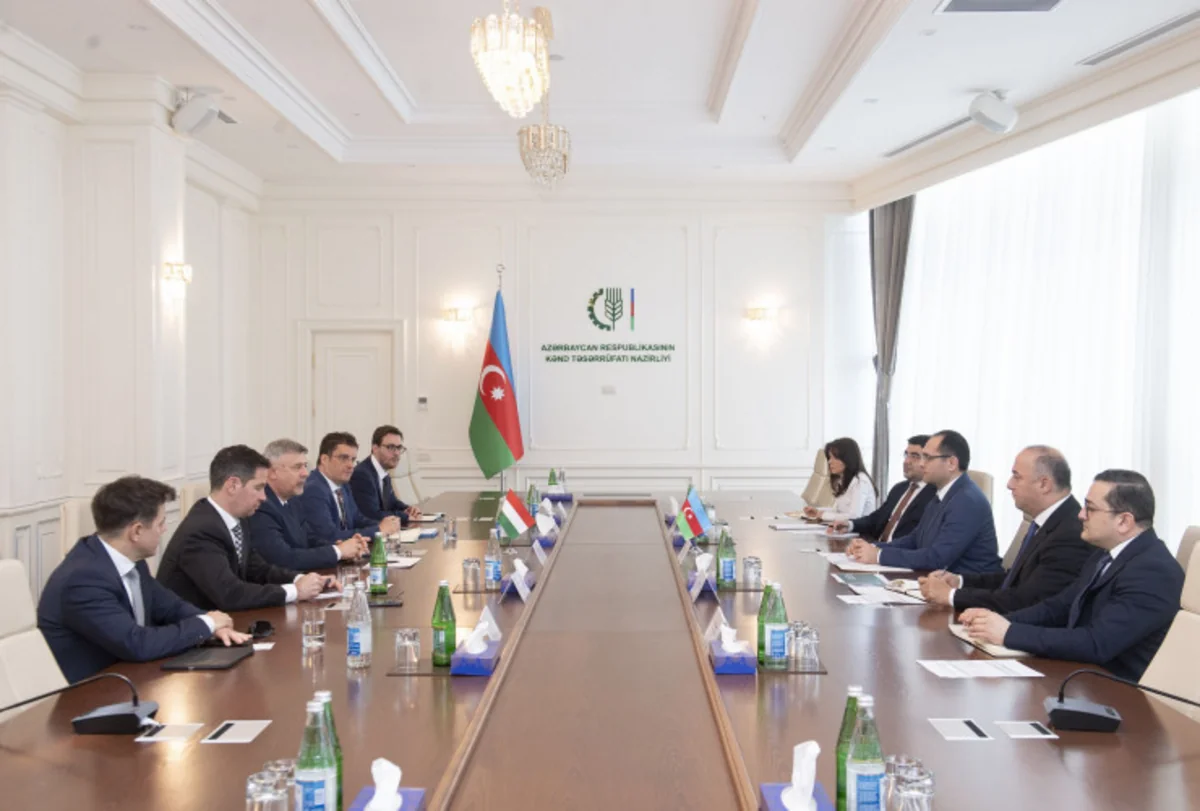 cYUmJ68OV182Cpz3wnhSrNWObCZXD8qB9LNpl7Tm_1200