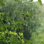 da8c8344-c930-4c4f-a559-cd318474ad7c_1200