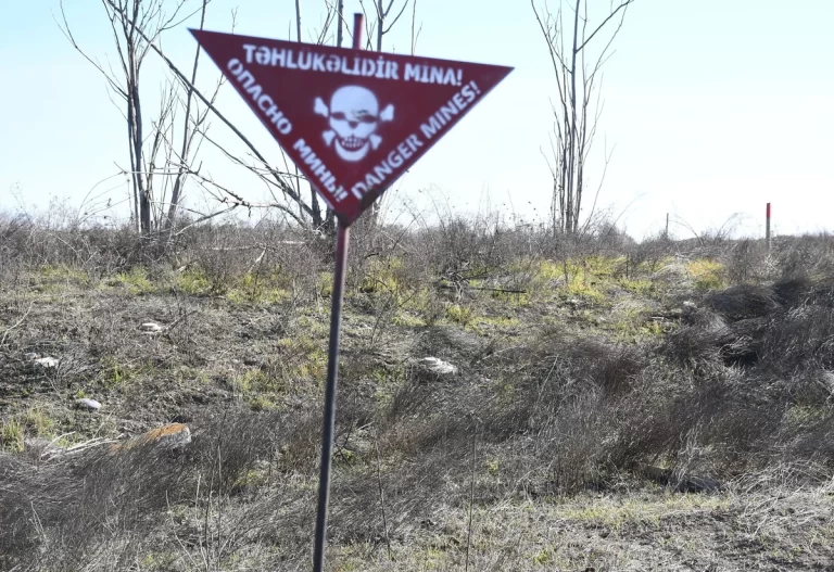 f4i8COB578gWpf26FDmYvaa1fhfou8rtdqhuelEr_1200