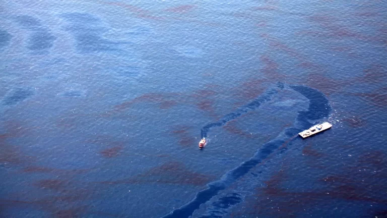 lpVGvSS6M00YlSykXlFlSGBe2TjbEWV3a9m7LQIr_1200