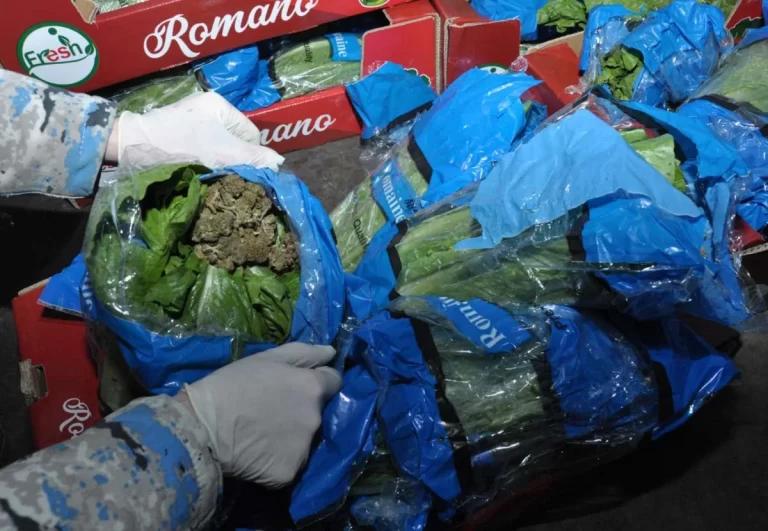 r51YWrff3VWAkM6cgf5XMSx0mfbhvBrbvuwMkwE4_1200