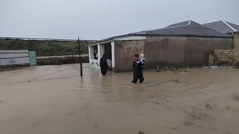 stvM83ZcbK2KXRoxX1o0XWds0AJqgVYJhB2xd7Lc_1200