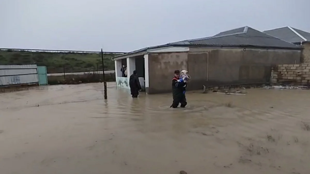 stvM83ZcbK2KXRoxX1o0XWds0AJqgVYJhB2xd7Lc_1200