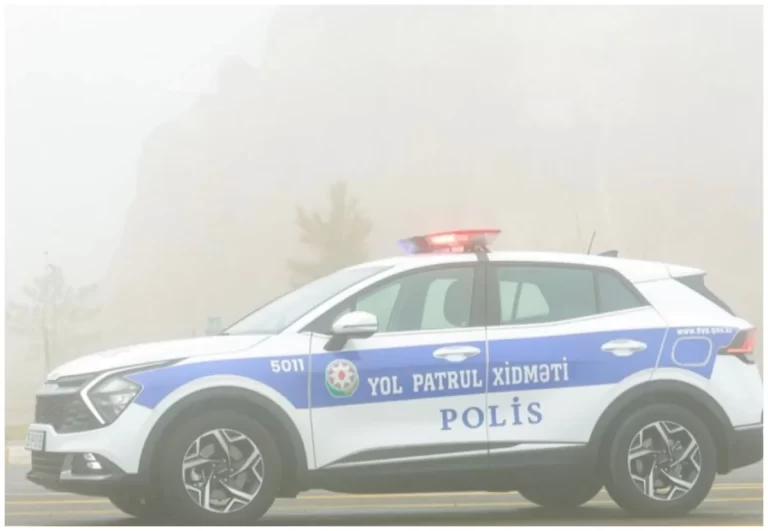 syr2vGNnivEKmmnSOdiex5C11YyjOHdm52cGbVn8_1200