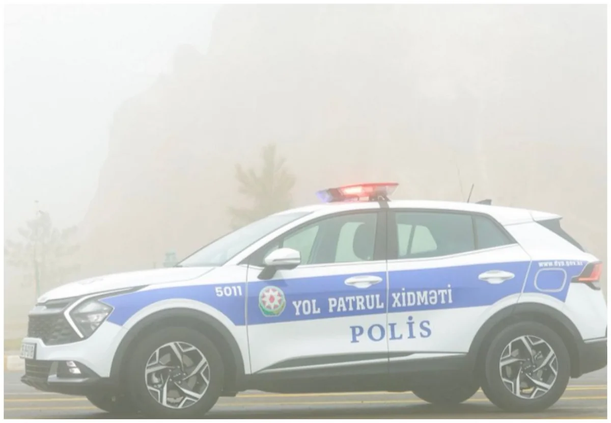 syr2vGNnivEKmmnSOdiex5C11YyjOHdm52cGbVn8_1200