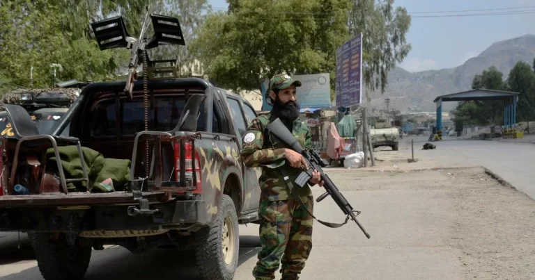 ucgddMElQRR3yX18mPKz76FeiJc3JasLoAdUV43c_1200