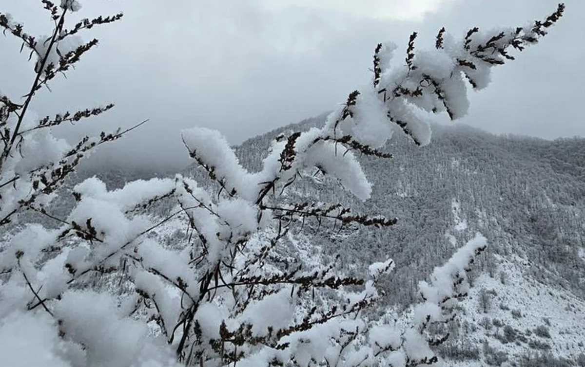 wME95esxZ0g3zfXLRzYSRKTO43WImvwqoiK897UK_1200