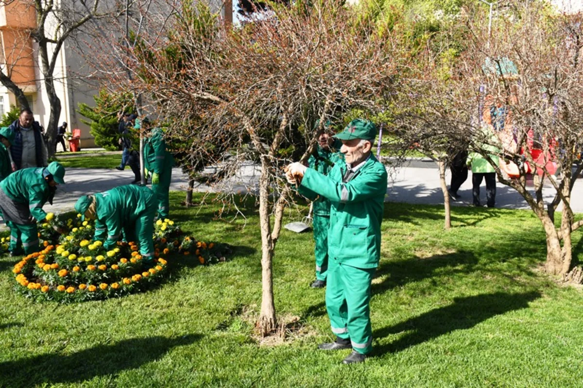 0h9Lv048LYVDVoo2QcxhBcDBKechJb1k0zWJhCKq_1200